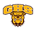 Glassboro High School Football logo
